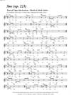 "Sne (op. 221)"<BR>Af Jakob Vejslev & Viggo Stuckenberg<BR>Fra melodibogen "117 Danske Sange"<BR>PDF noder til download